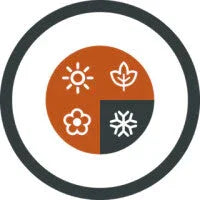 Seasonal icons for camping gear: sun, leaf, flower, snowflake