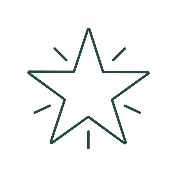 Green star icon with radiating lines, symbolizing outdoor adventure and camping gear