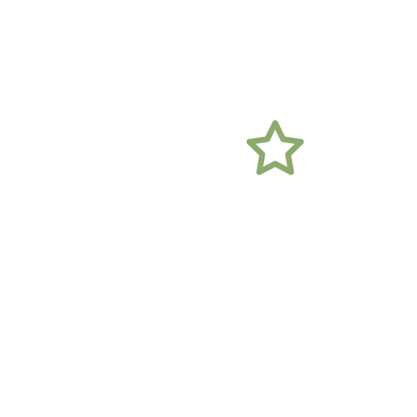 Green star icon on white background
