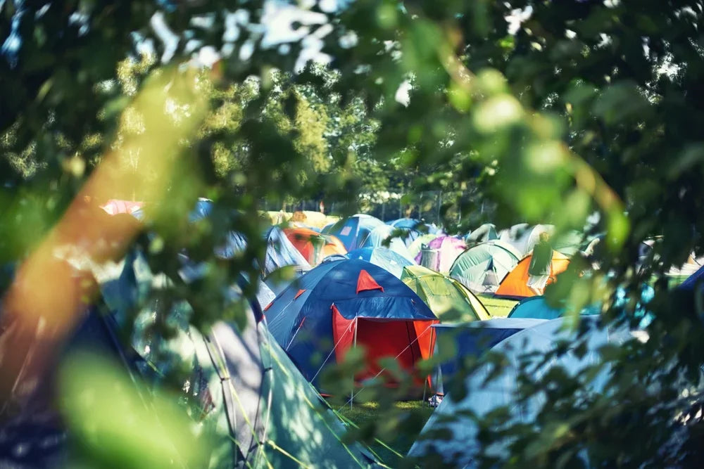 Colorful camping tents nestled in a leafy forest, perfect for outdoor adventures and family camping trips.